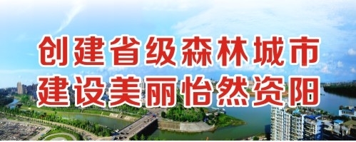 这个大逼操着视频创建省级森林城市 建设美丽怡然资阳