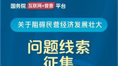 女生插逼免费视频国务院“互联网+督查”平台公开征集阻碍民营经济发展壮大问题线索